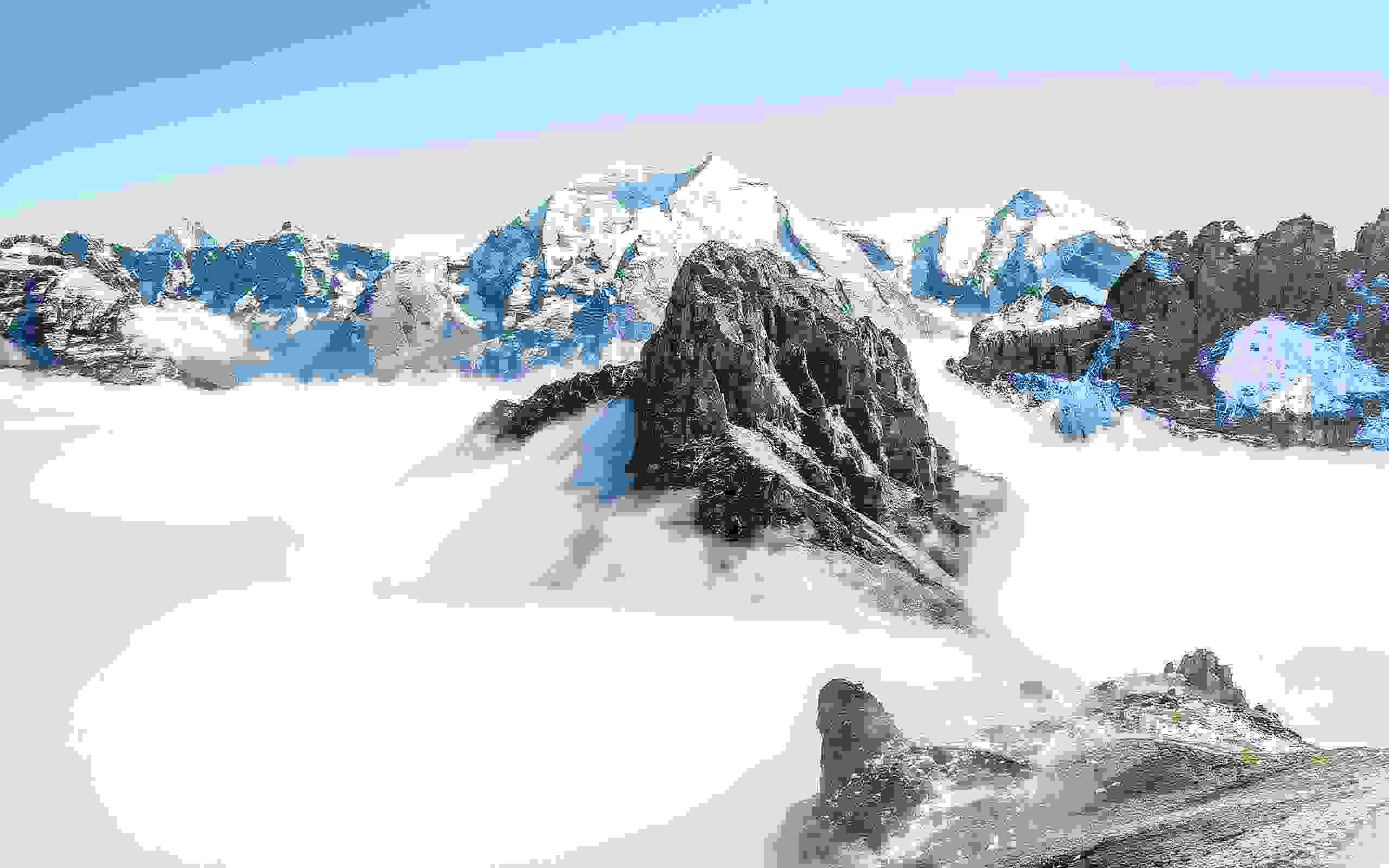 banner1